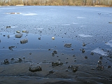 2012-02-19 10-21-15 Ludo